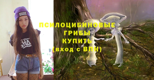 мяу мяу мука Михайловка